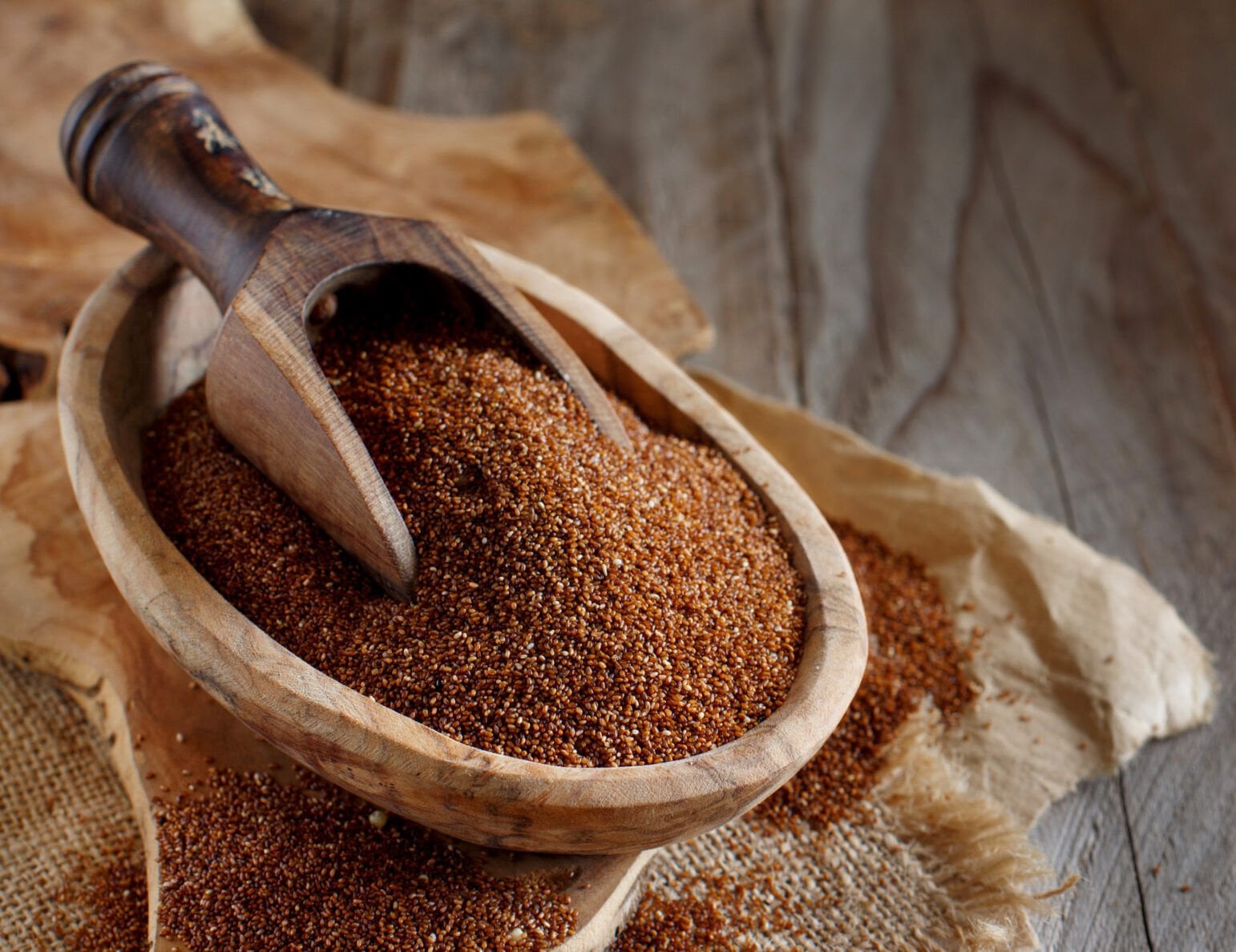 Teff Tohumu