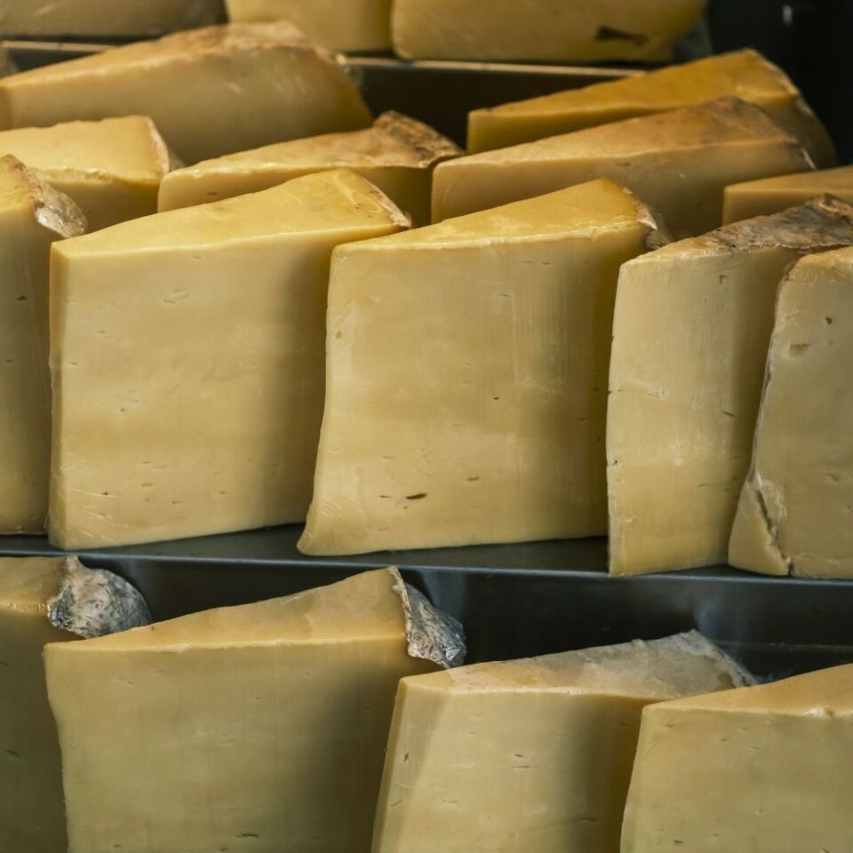 Eski Kaşar peyniri (Kars) 1 KG